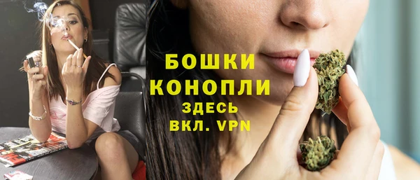 сатива Няндома