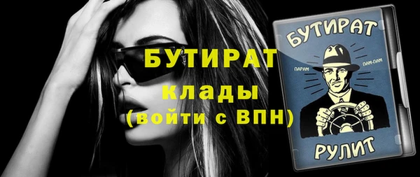 сатива Няндома
