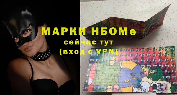 сатива Няндома