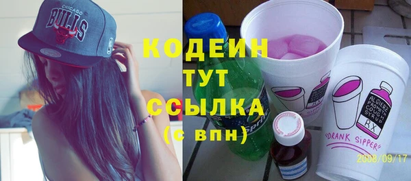 сатива Няндома