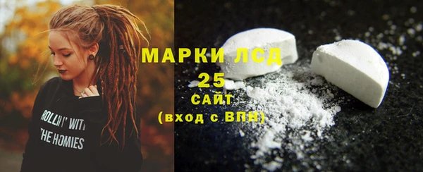 сатива Няндома