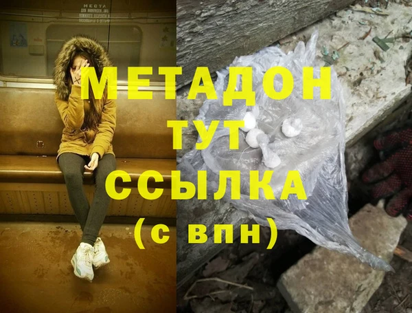 сатива Няндома