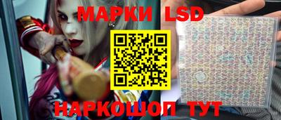 шишки Свободный
