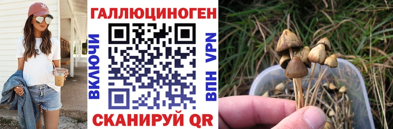 Псилоцибиновые грибы Cubensis купить наркоту blacksprut зеркало Находка