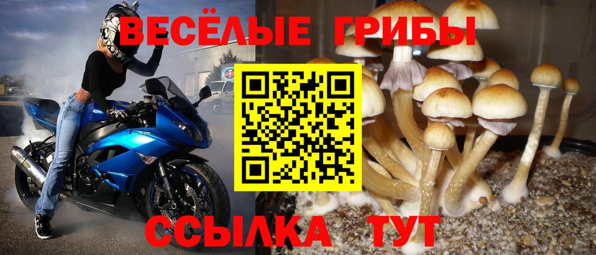 Находка  цены наркотик  Вход с VPN  Псилоцибиновые грибы прущие грибы 